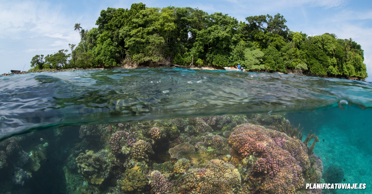 Qué ver en las Islas Salomón 10 sitios imprescindibles