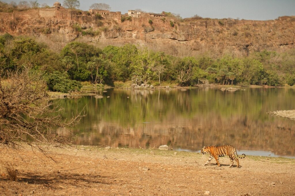 Gu A De Viaje De Sud N Del Sur Frica Descubre La Belleza Y La