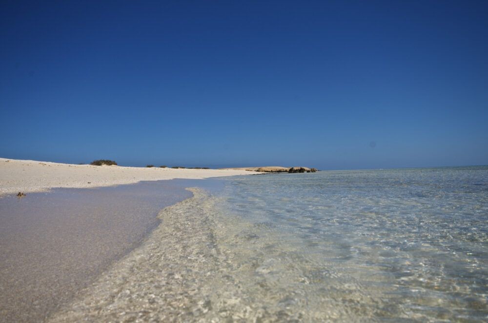 10 Mejores Playas de Egipto 7 Sharm El Luli, Marsa Alam