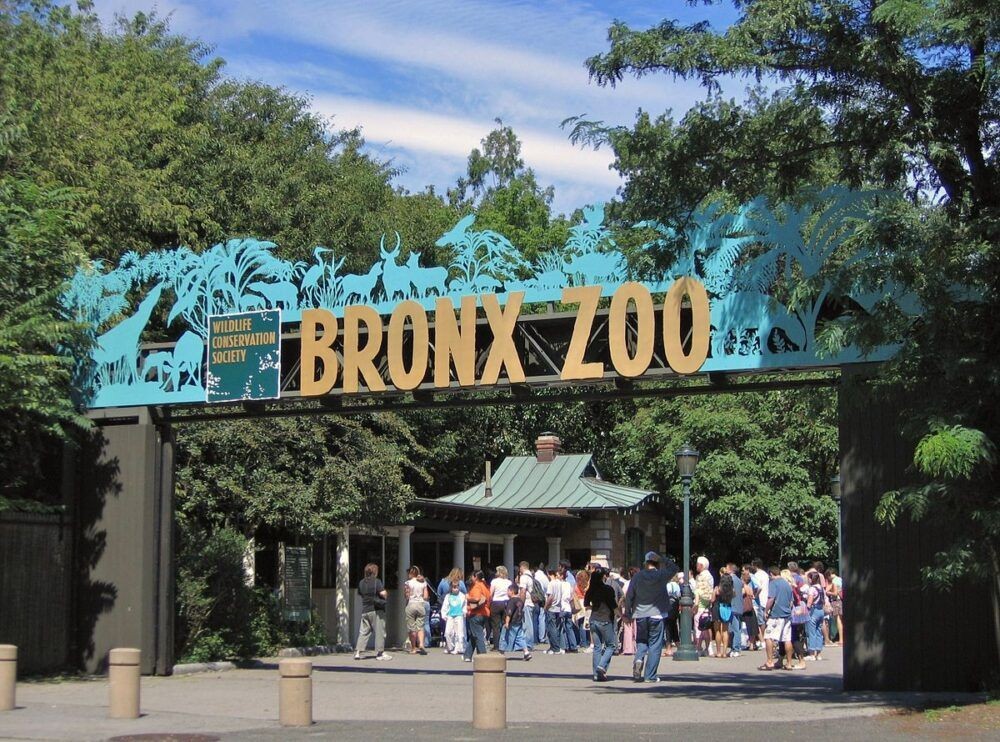 Zoológico Bronx