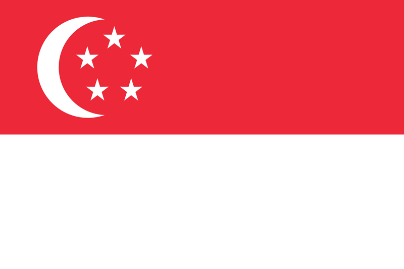 Bandera de Singapur 3