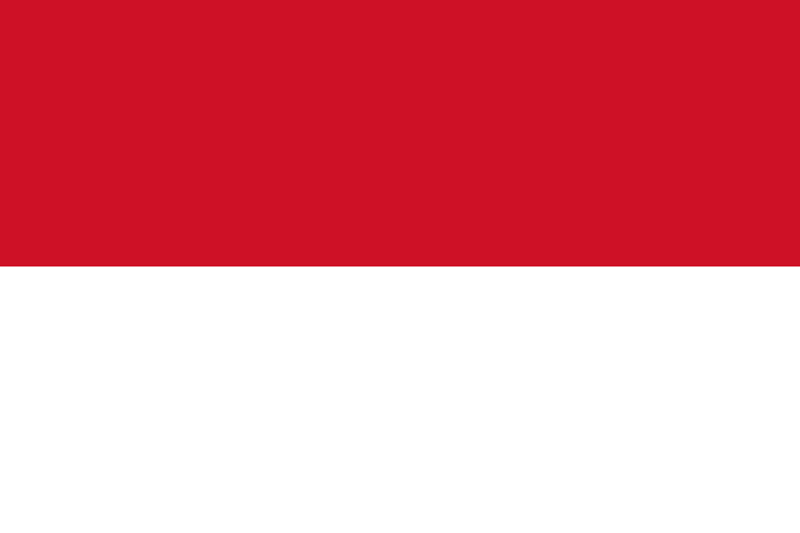 Bandera de Indonesia 2