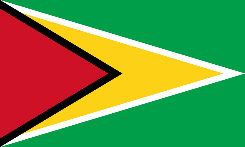 Bandera de Guyana