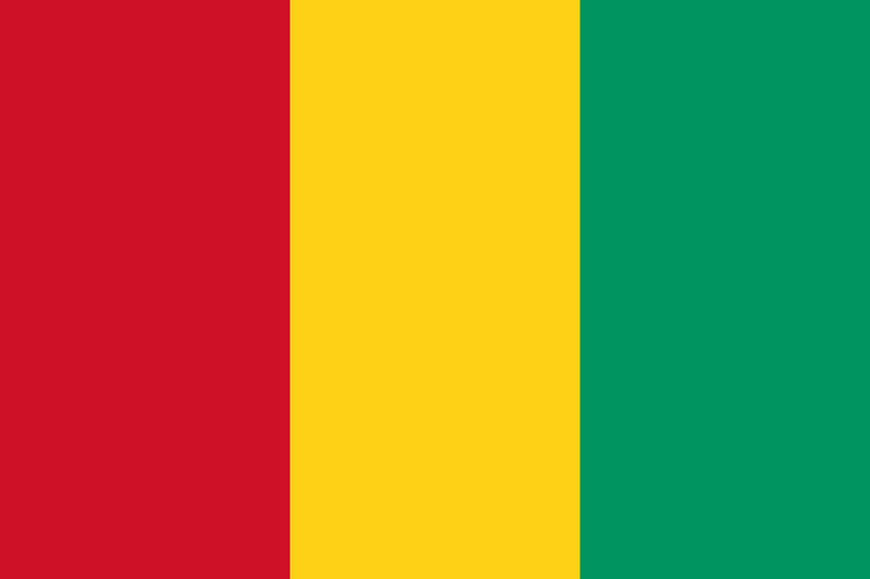 Bandera de Guinea 3