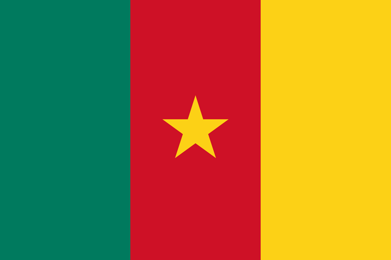 Bandera del Camerún