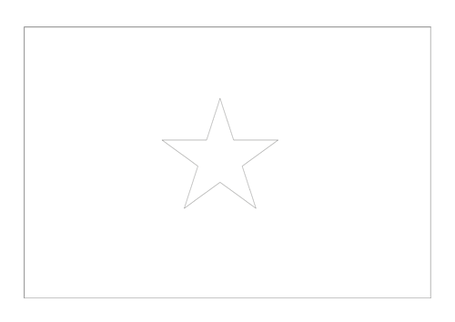 Bandera de Vietnam 4