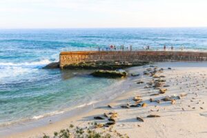 Las 12 mejores playas de California 4