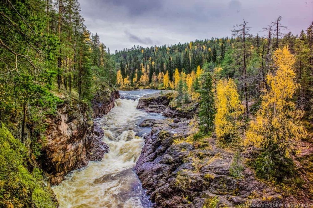 Parque Nacional Oulanka