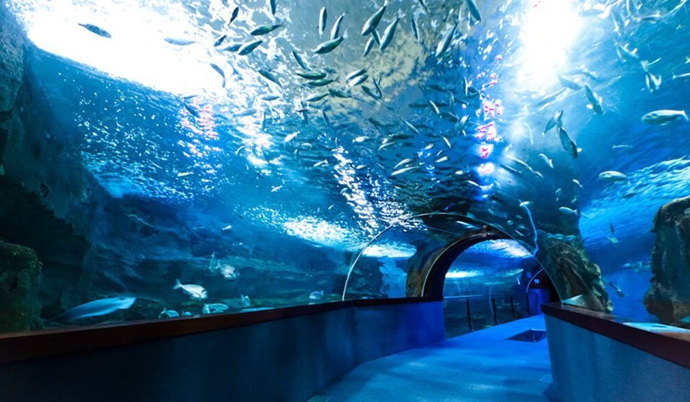 Aquarium Donostia-San Sebastian