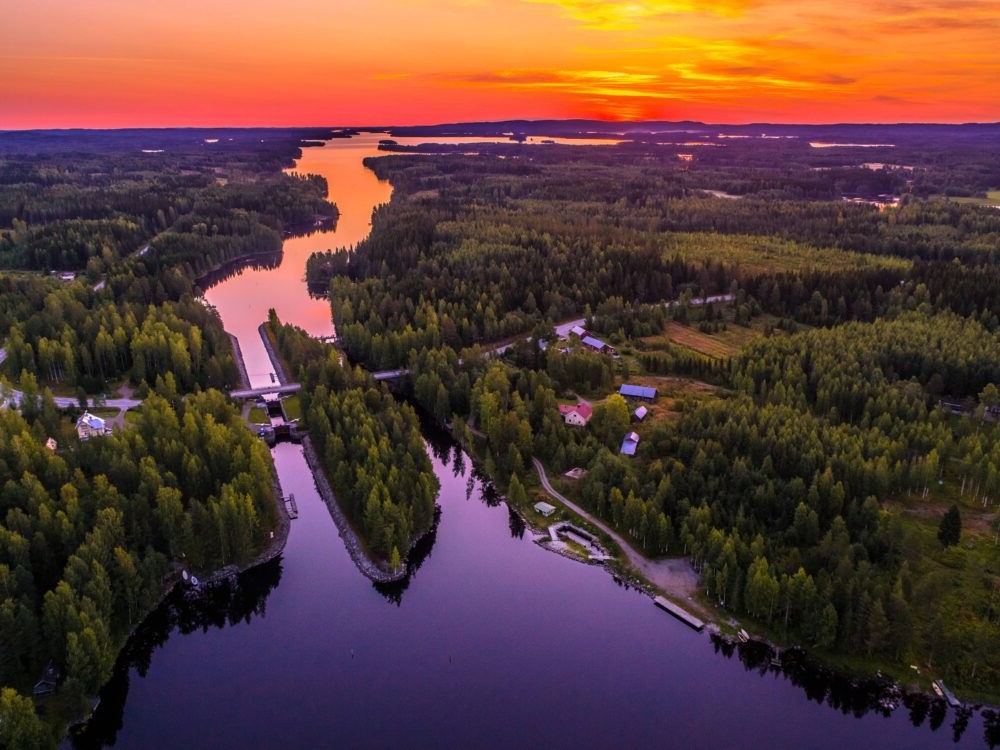 Finlandés Lakeland