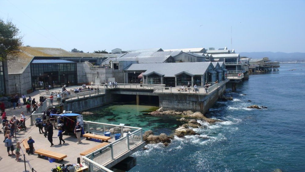 Monterey