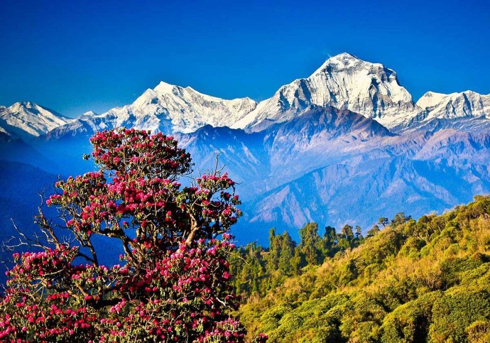 Nepal Nepal