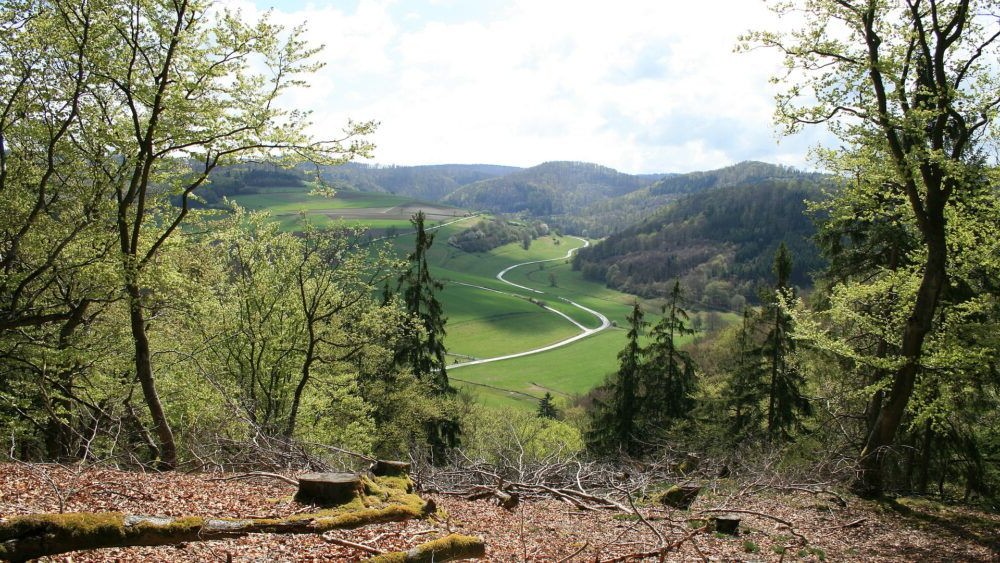 Parque Nacional Kellerwald-Edersee