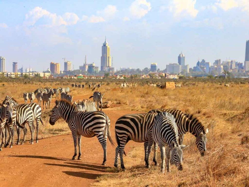 Parque Nacional de Nairobi