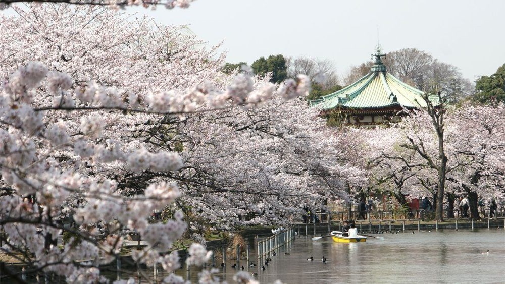 10 atracciones turísticas más importantes de Tokio 3