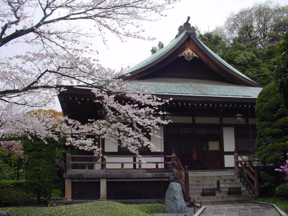 Destino Japon, Templo Hokokuji