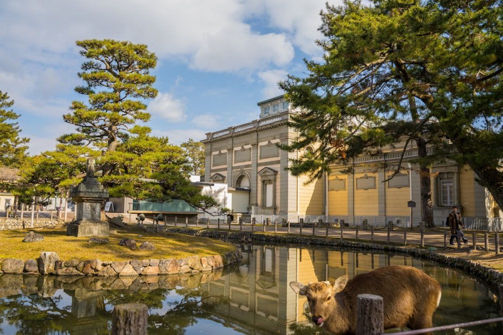 Destino Japón, Museo Nacional de Nara
