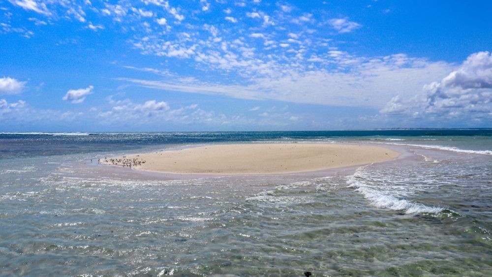 Los 10 Parques Nacionales más hermosos de Kenia 9 Destino Kenia, Parque Nacional Malindi Marine