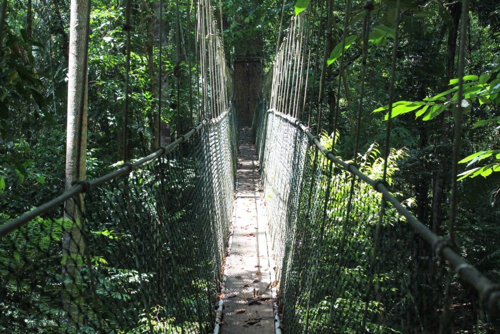 Destino Taman Negara Malasia