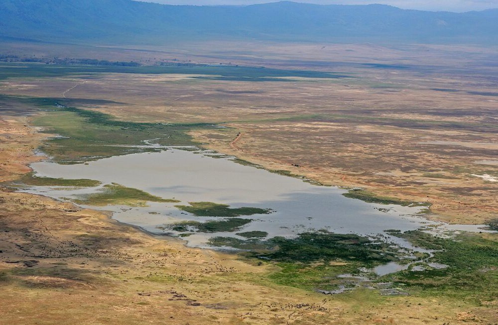 Vista del Parque del área de conservación de Ngorongoro
