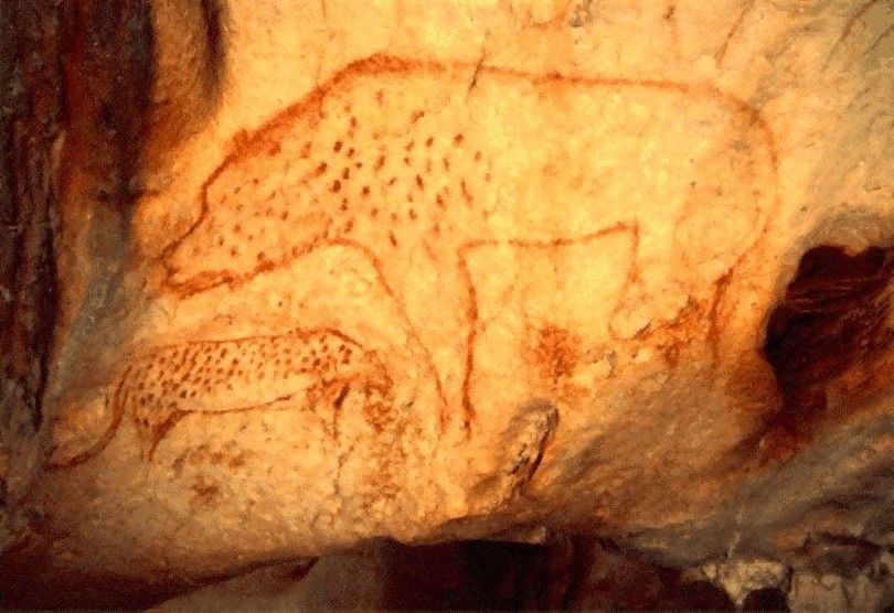 Cueva De Chauvet