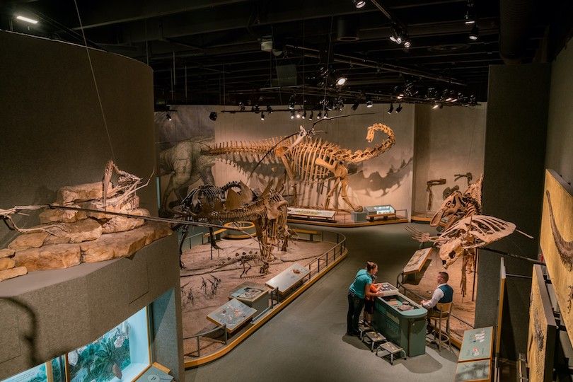 Denver Museo De La Ciencia La Naturaleza