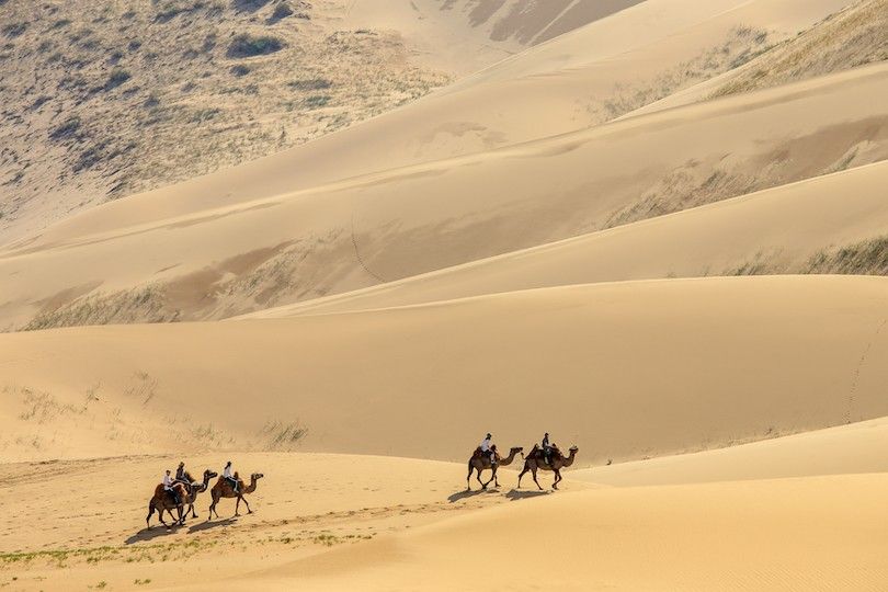 Paseo en camello por el desierto de Gobi