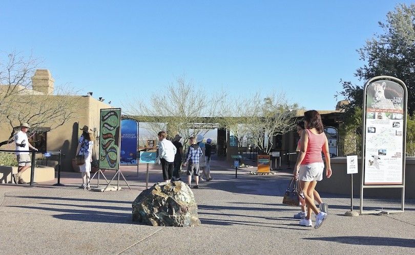Museo Del Desierto De Arizona Sonora