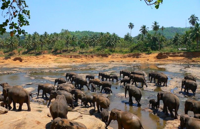 9 Provincias más bonitas de Sri Lanka