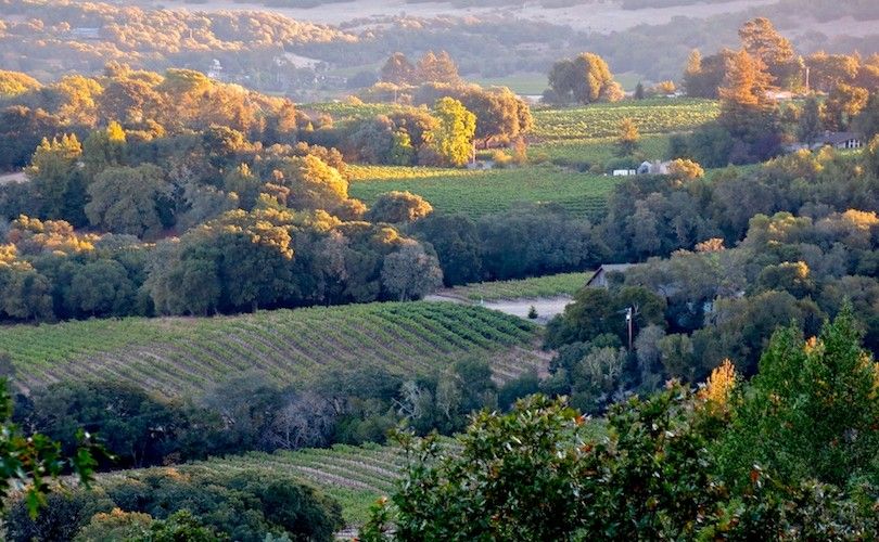 La región vinícola de Sonoma