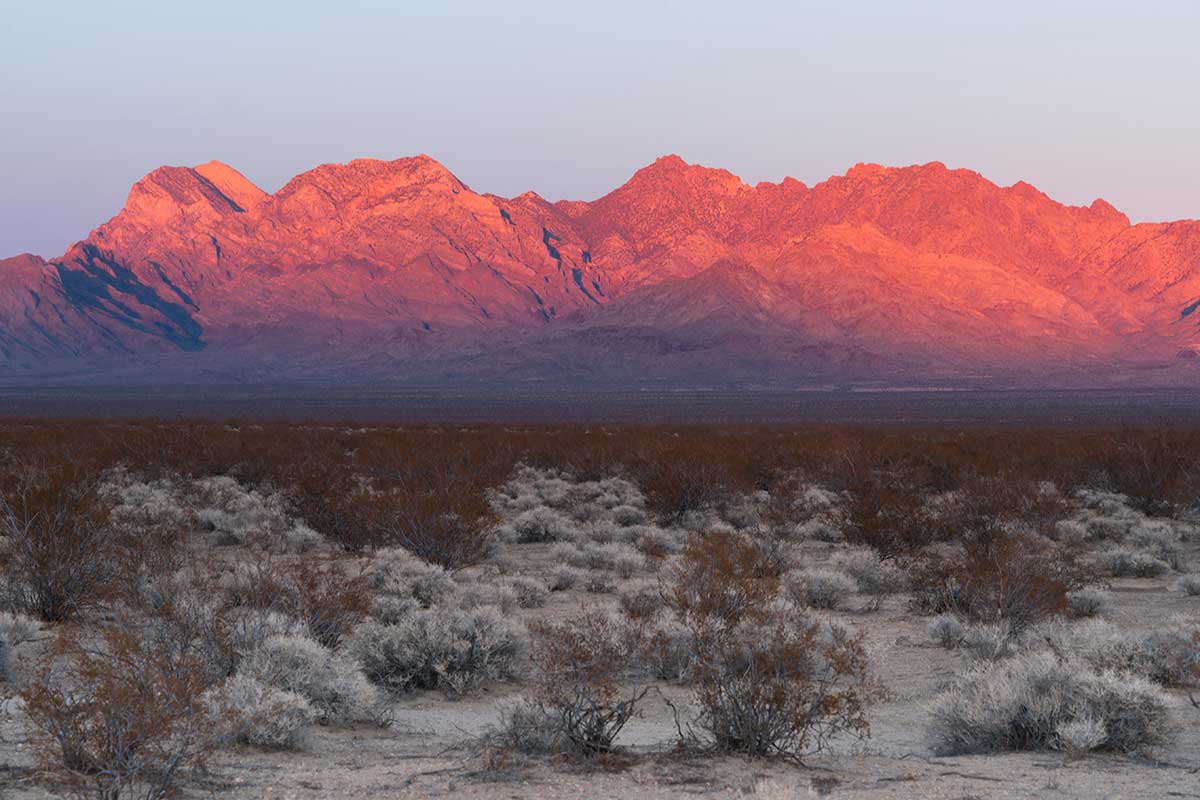 Reserva Nacional de Mojave