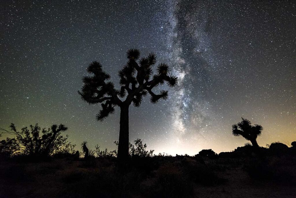 Desierto de Mojave (California): itinerario, qué ver y visitar 2
