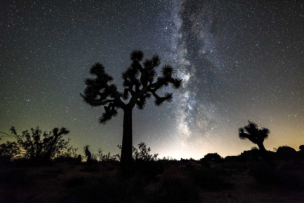 Desierto de Mojave (California): itinerario, qué ver y visitar