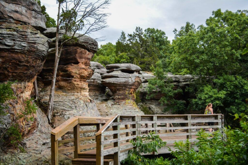 Category Template 1 Bosque Nacional de Shawnee