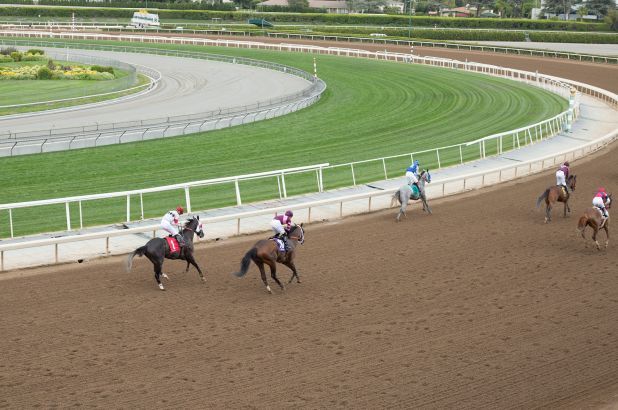 Category Template 47 - Pulses PRO 2 El Derby de Kentucky