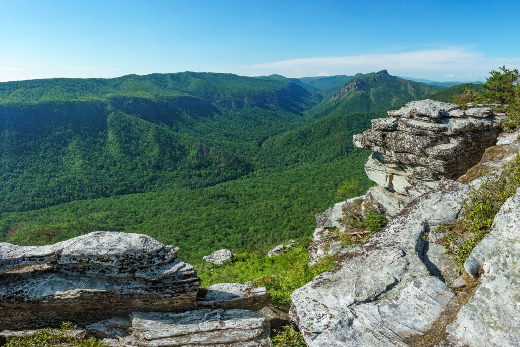 Category Template 47 - Pulses PRO 3 Linville Gorge