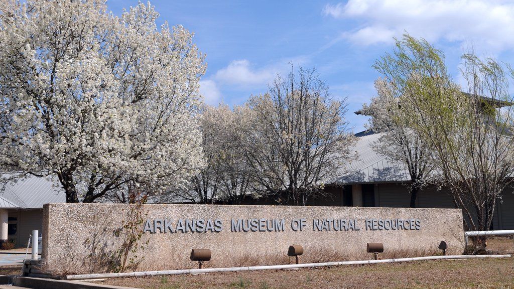 Category Template 47 - Pulses PRO 2 Museo de Recursos Naturales de Arkansas