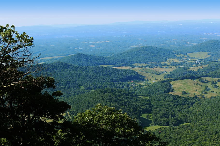 Category Template 47 - Pulses PRO 4 Parque Nacional de Shenandoah