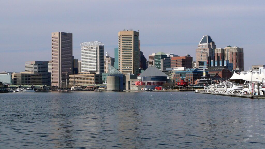 Category Template 47 - Pulses PRO 1 Baltimore