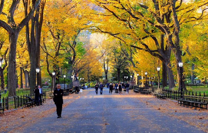 El follaje de otoño en Nueva York - Nuestra guía completa