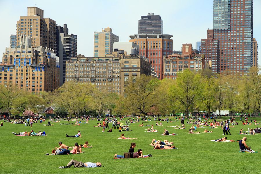 Cosas que hacer en Nueva York en abril 10 Central Park