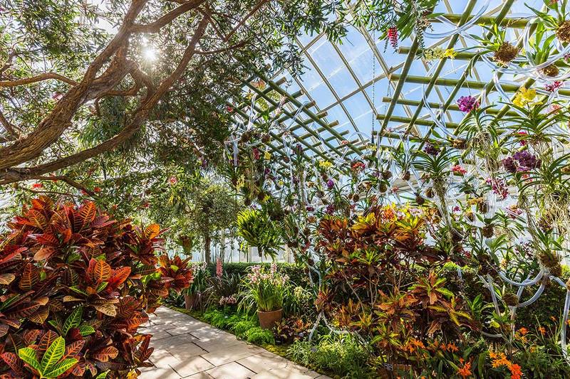 Cosas que hacer en Nueva York en abril 5 Jardín Botánico de Nueva York Orquideas