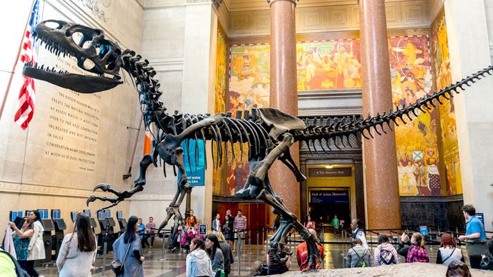 Museo de Historia Natural de Nueva York Dinosaurios