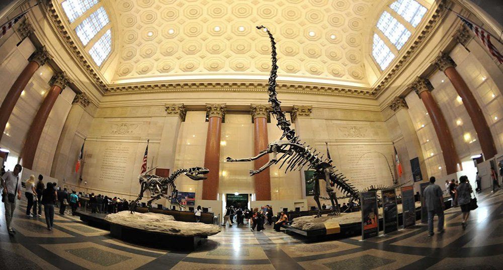 Cosas que hacer en Nueva York en agosto 22 Museo de New York