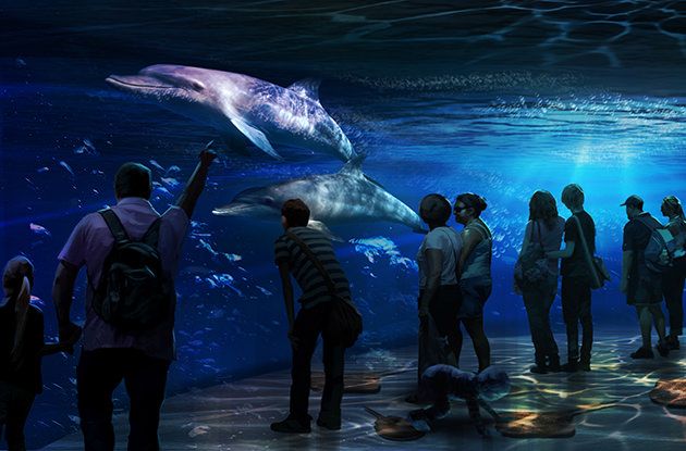 Encuentro con National Geographic: Ocean Odyssey en NYC 2 National Geographic Encounter de Nueva York