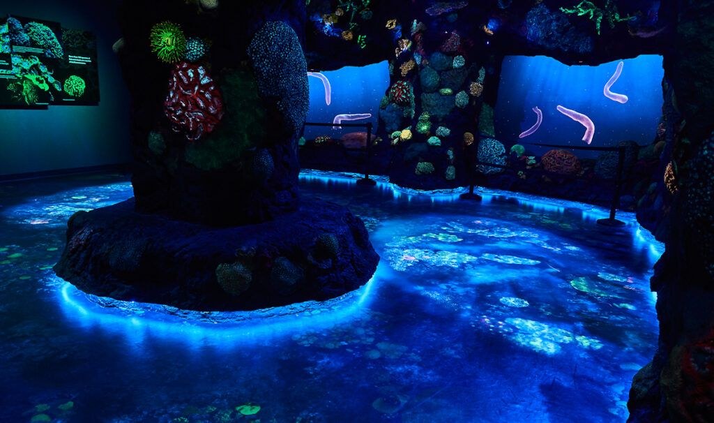 Encuentro con National Geographic: Ocean Odyssey en NYC 1 National Geographic Encounter de Nueva York