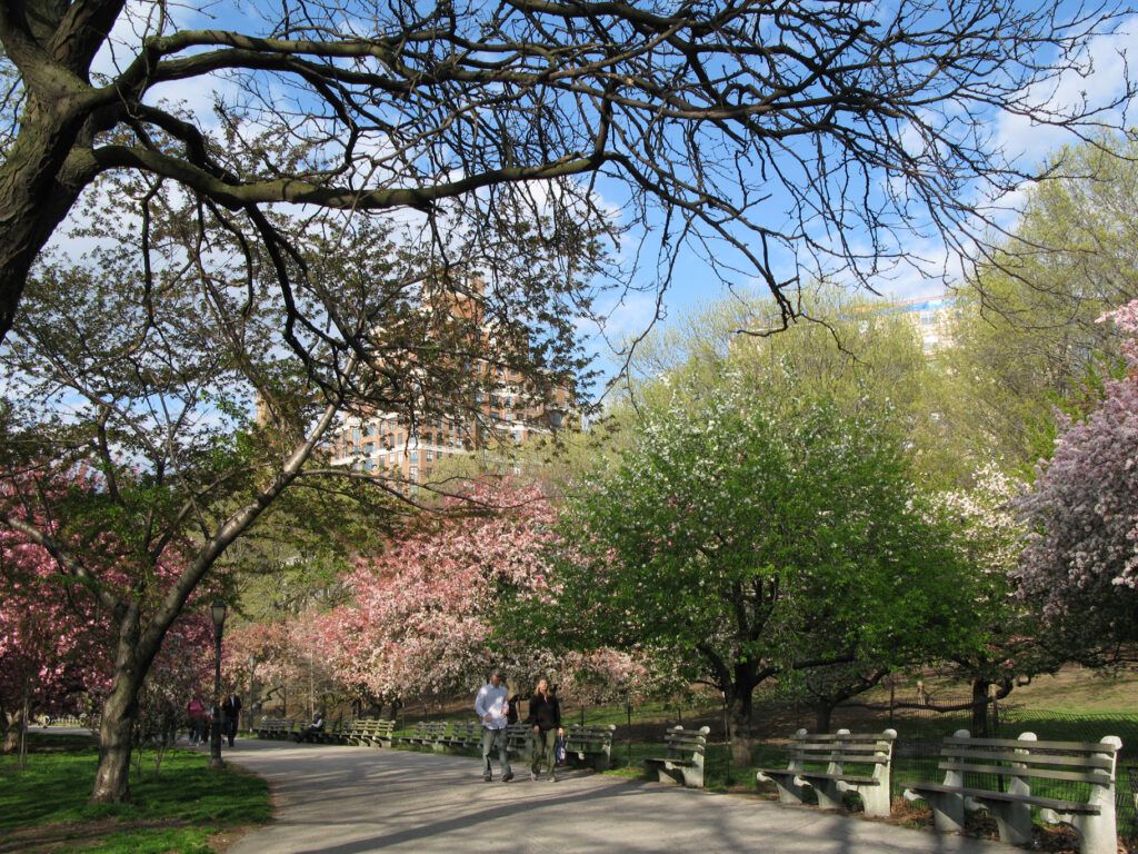 Riverside Park New York