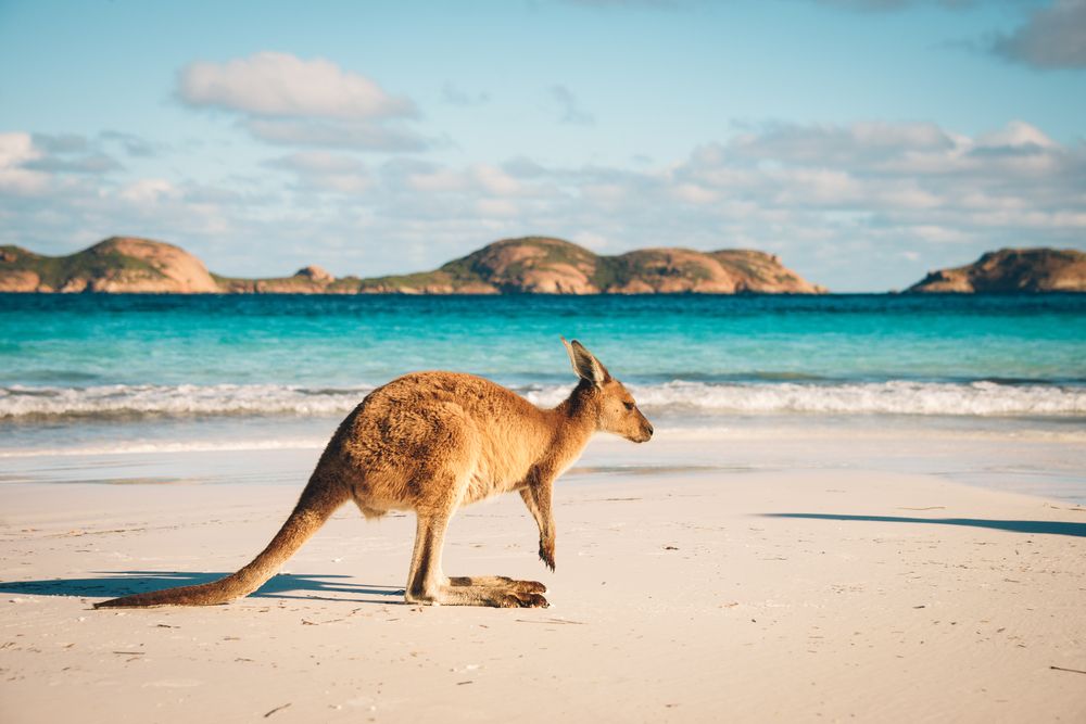 Australia Turismo