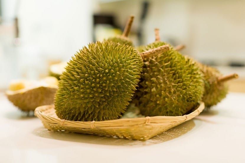 fruta del durián Tailandia