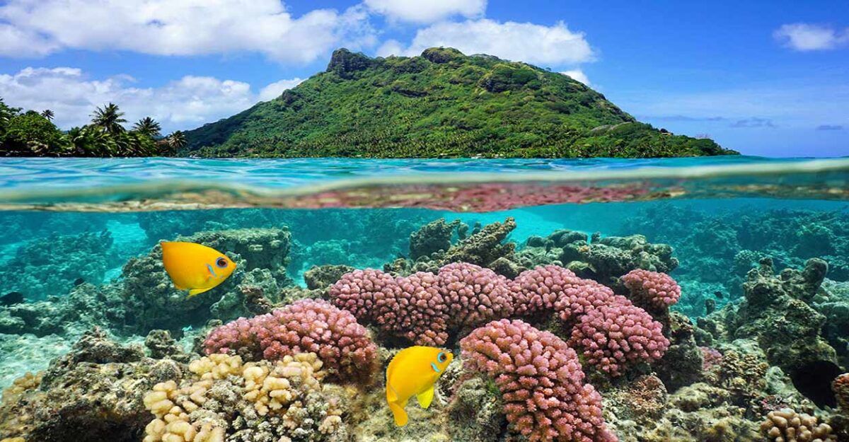 Polinesia Francesa Turismo